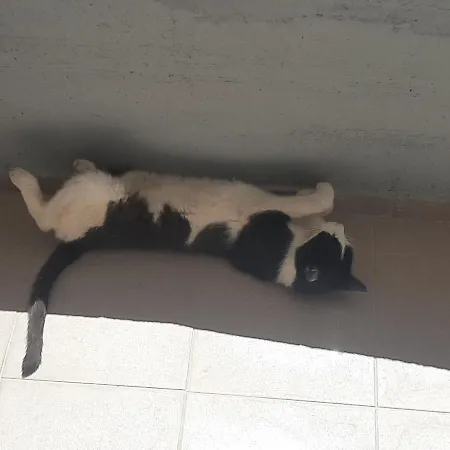 شقة Maja Okrug Gornji تروغير