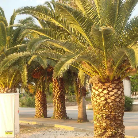 Maja Okrug Gornji Τρογκίρ