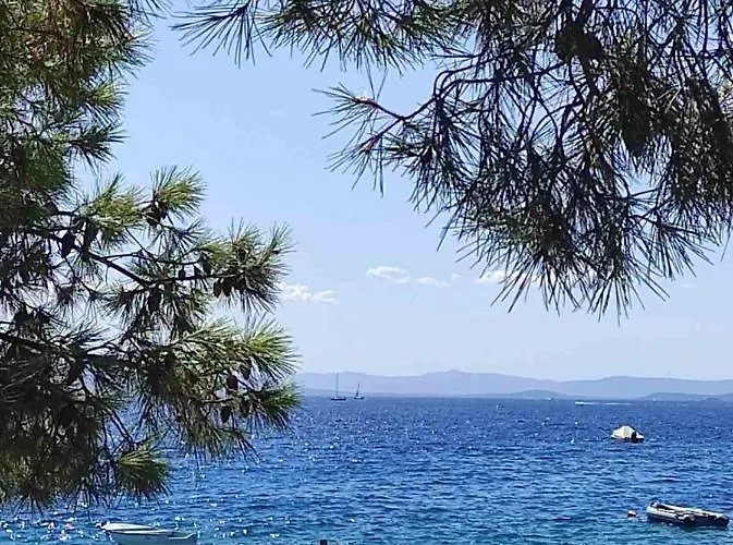 Apartman Maja Okrug Gornji *