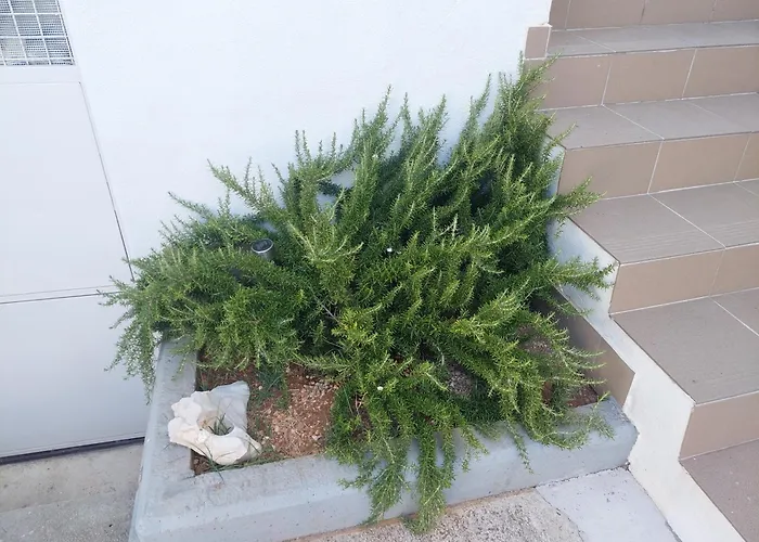 Maja Okrug Gornji Apartman *