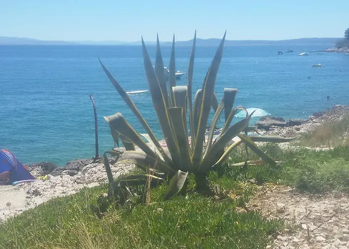 Maja Okrug Gornji 公寓