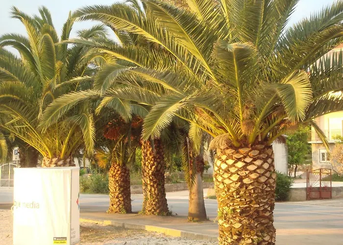 Maja Okrug Gornji Trogir