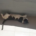 Apartmán Maja Okrug Gornji Trogir