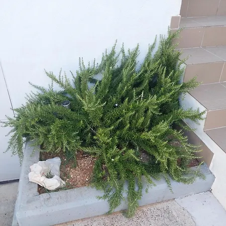 Maja Okrug Gornji Apartmán *